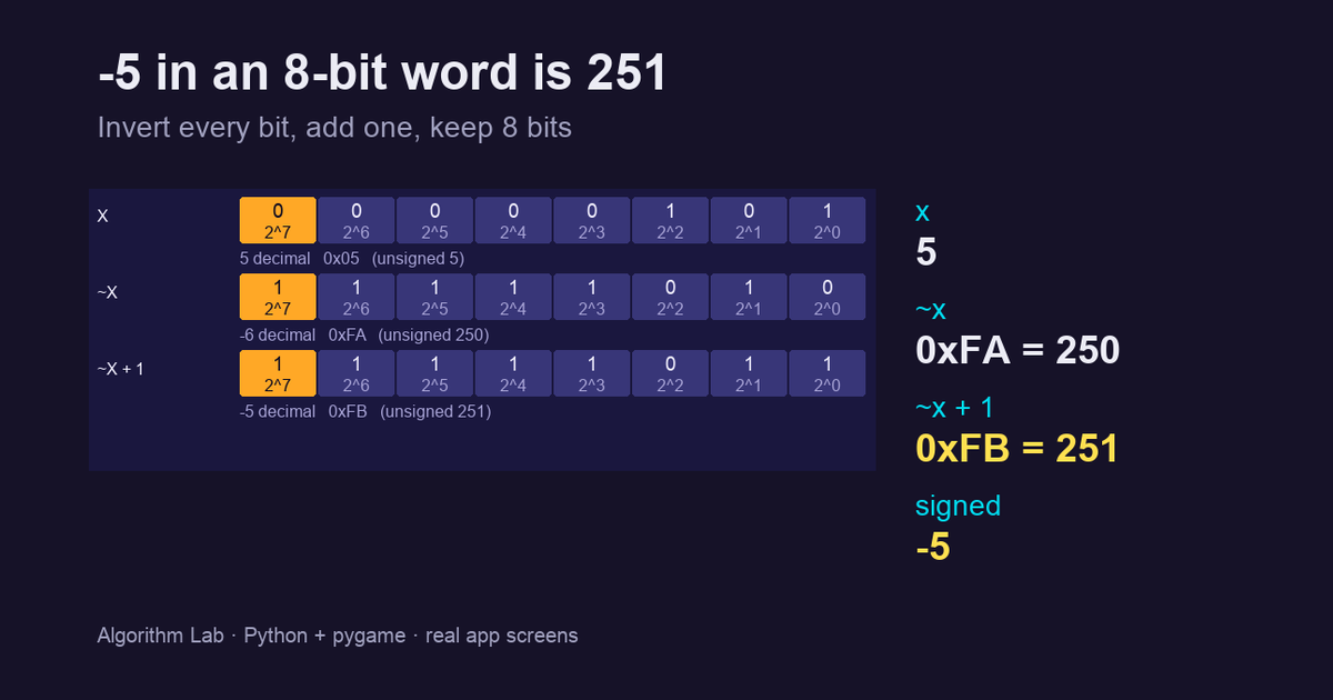 Bit tricks in Python, one bit at a time: why ~5 is -6 and how to get 8-bit results