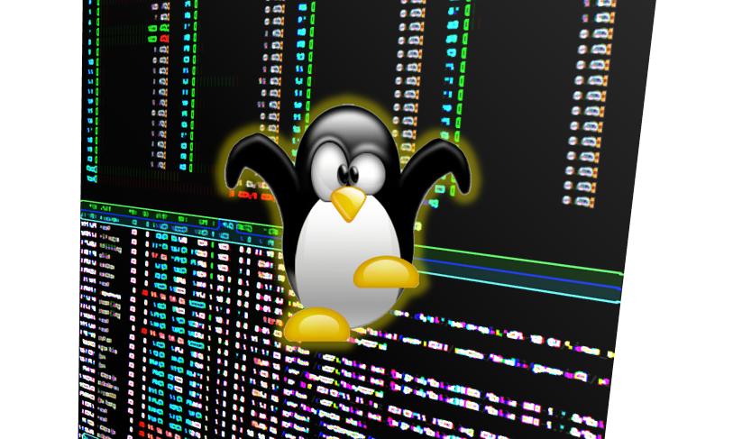 Linux 환경 정보 확인